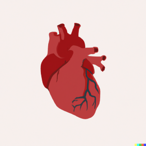 Heart - subject to high blood pressure