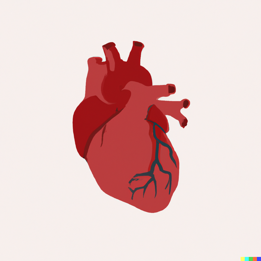 Heart - subject to high blood pressure