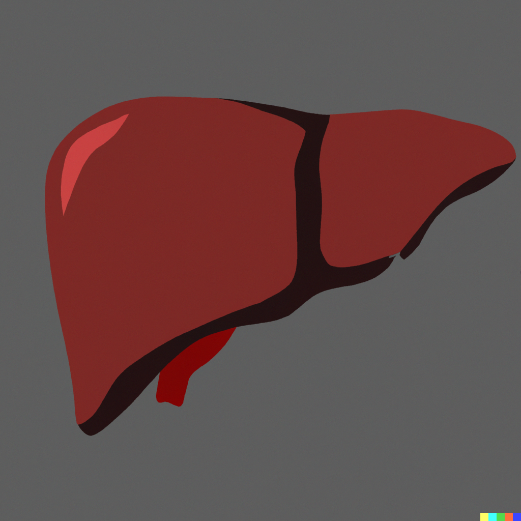 Liver