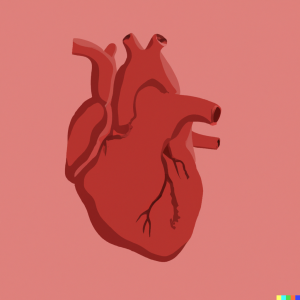 Heart
